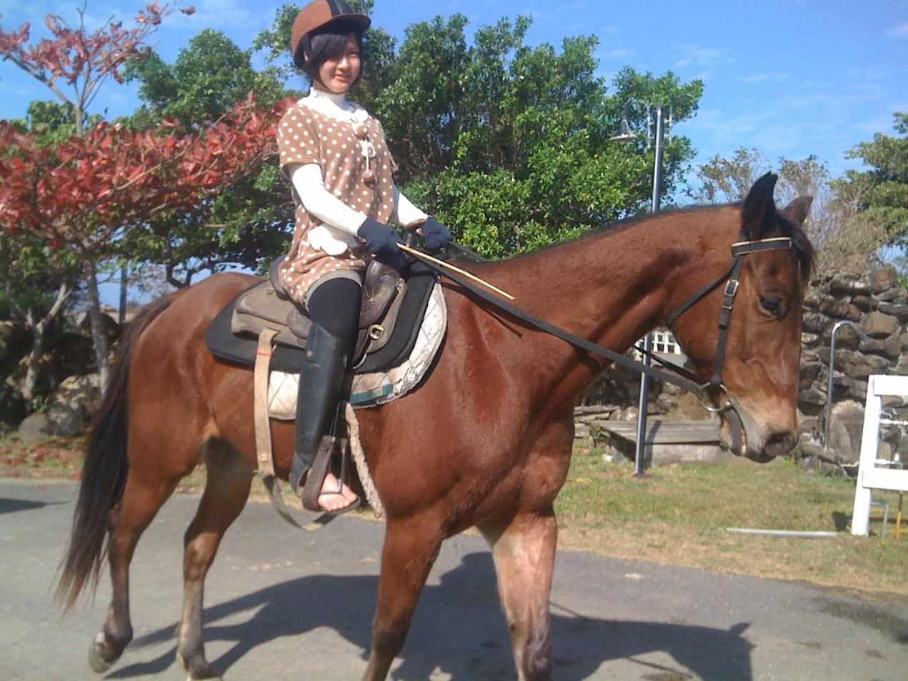 五歲以下的年輕馬較不油條，最適合初學者駕馭騎乘。
